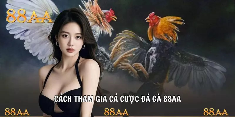 Hướng dẫn hội viên cá cược cách tham gia