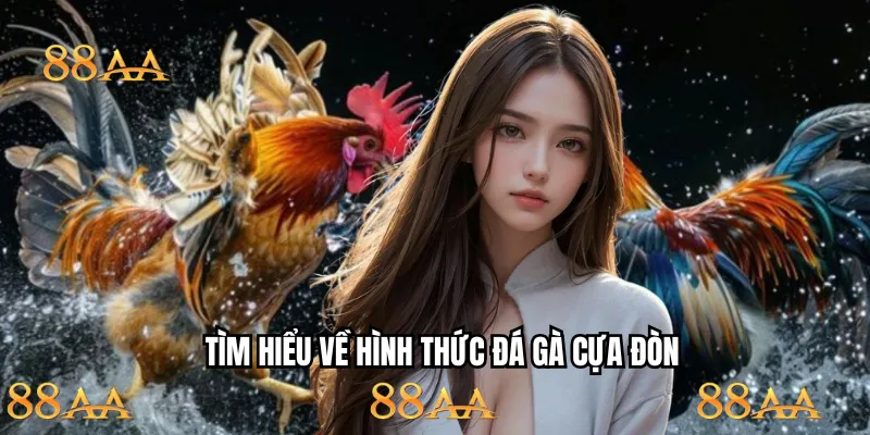 Tổng quan những nét chính về hình thức đá gà cựa đòn