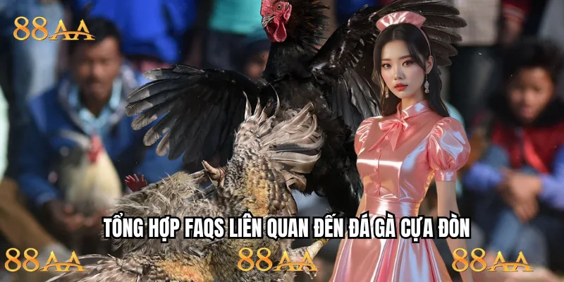List câu hỏi được thắc mắc nhiều nhất khi tham gia đá chọi