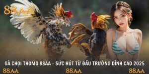 gà chọi thomo
