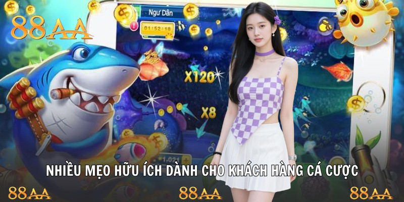Nhiều mẹo hữu ích dành cho khách hàng cá cược